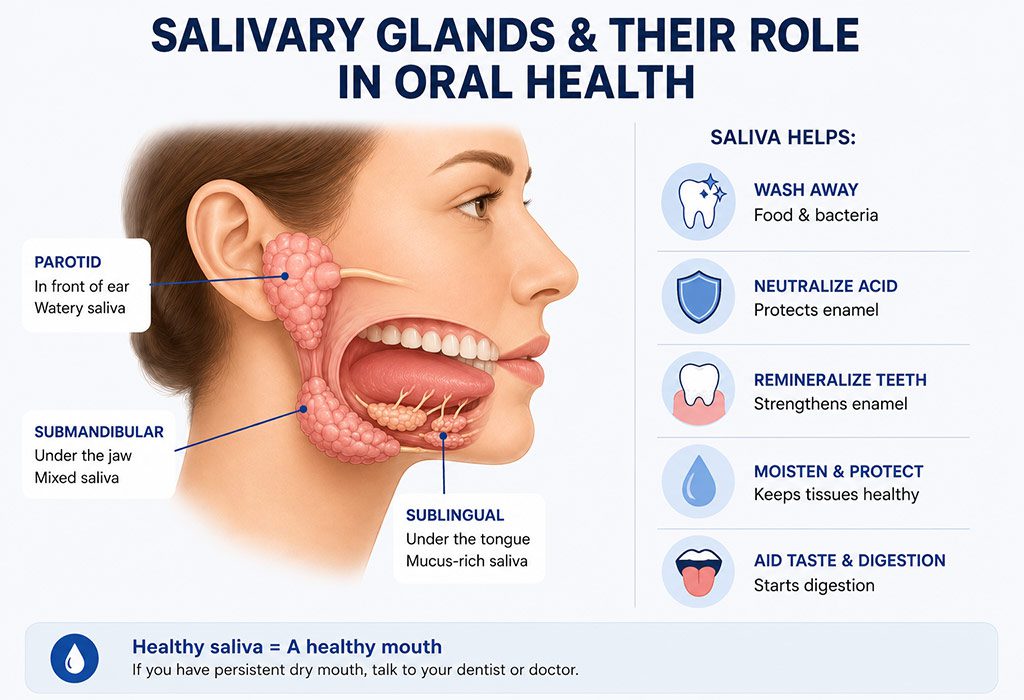 how saliva protects your teeth and gums