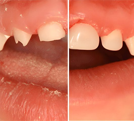 sevices pediatric dentistry